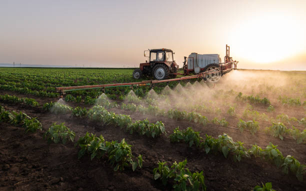 Best Pest Removal Services  in Margaret, AL