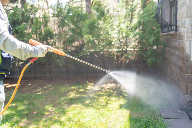 Best Termite Control Services  in Margaret, AL
