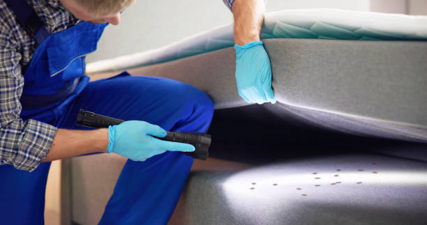 Best Bed Bug Extermination  in Margaret, AL
