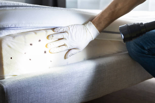 Best Emergency Pest Control  in Margaret, AL