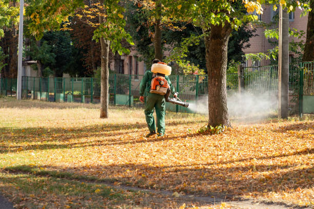 Best Mosquito Control Services  in Margaret, AL