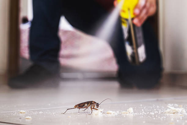 Professional Pest Control in Margaret, AL