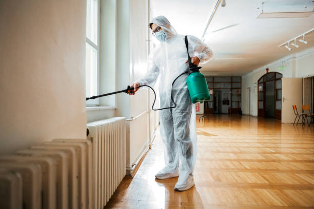 Best Rat Extermination Near Me  in Margaret, AL