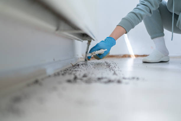 Best Residential Pest Control  in Margaret, AL