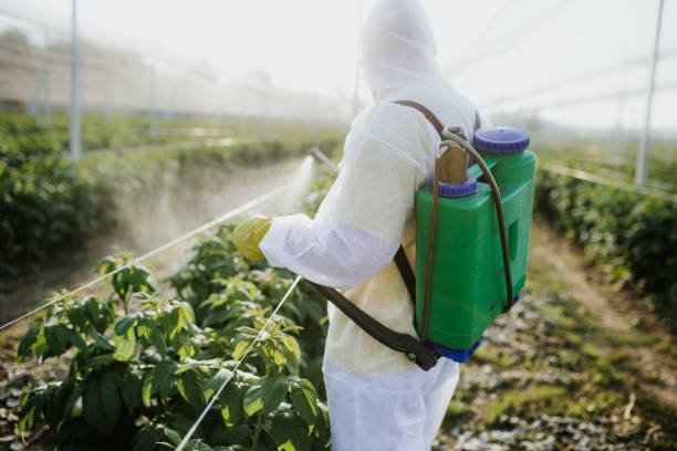 Wasp Removal Services in Margaret, AL